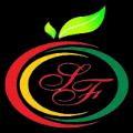 Satvic Foods Logo
