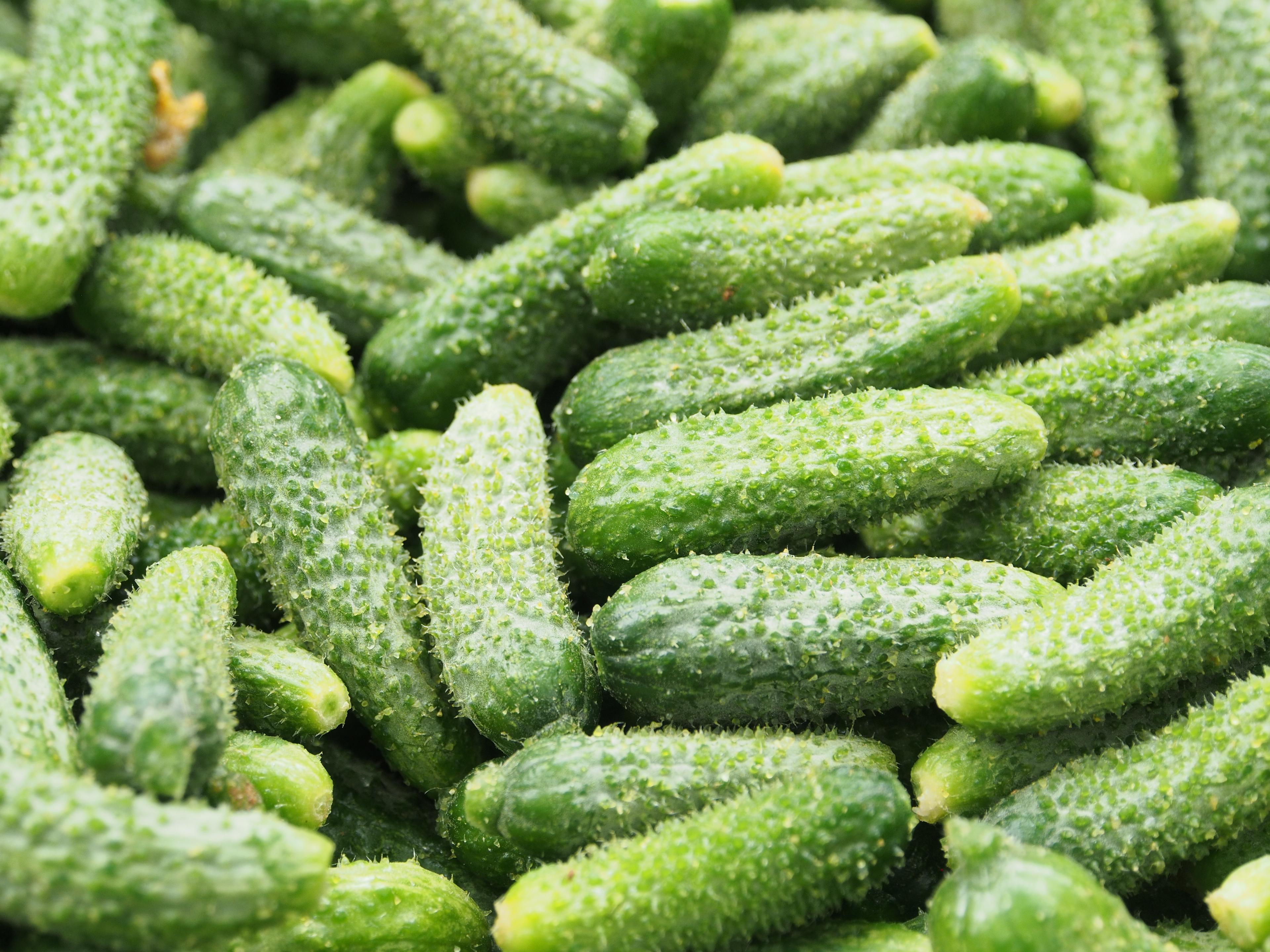 Fresh Vegetables Background